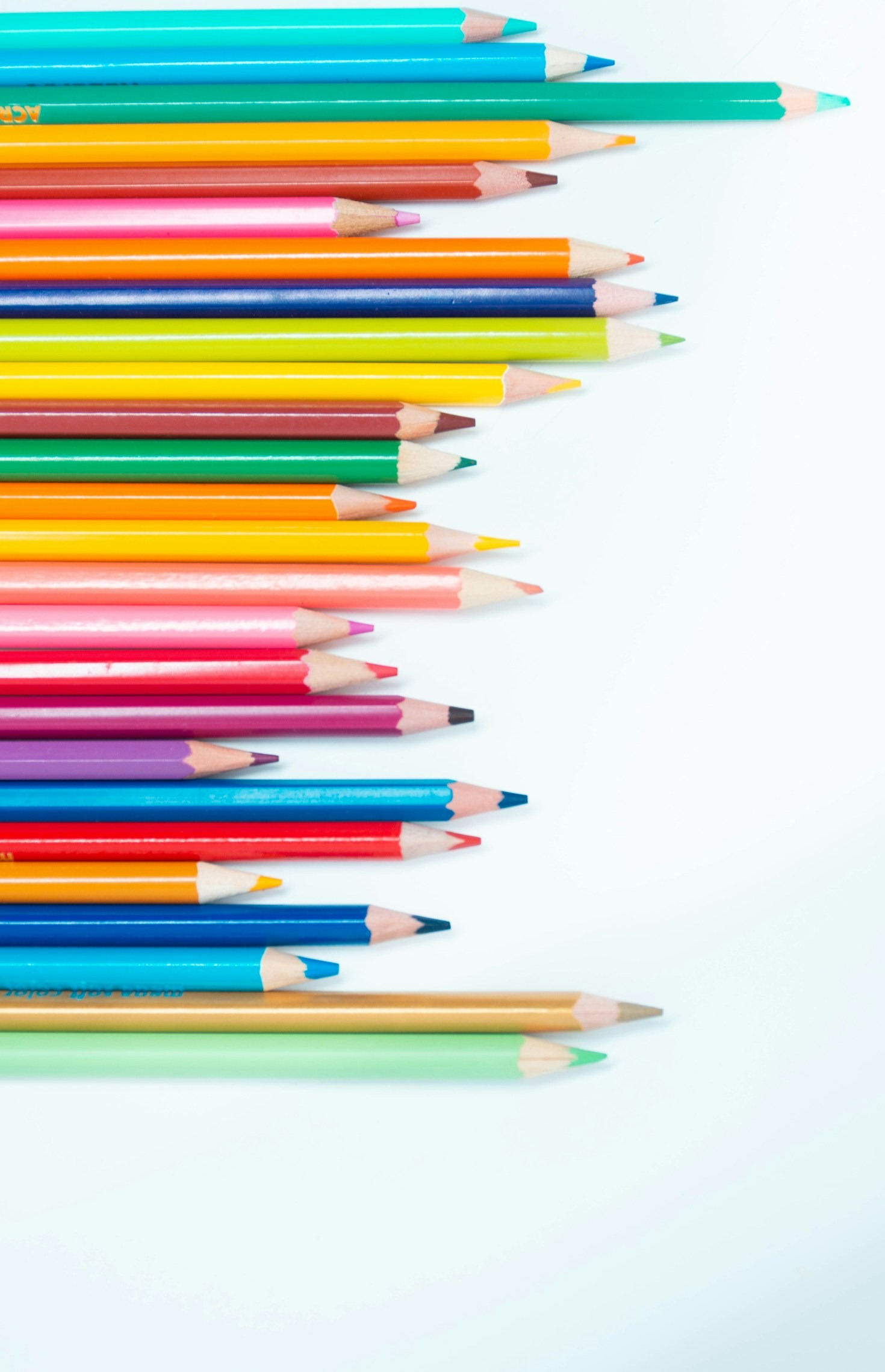 Watercolor Painting Techniques for Beginners and Beyond